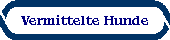 Vermittelte Hunde