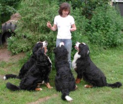 Das ist Beatrice voll in action ;-)))